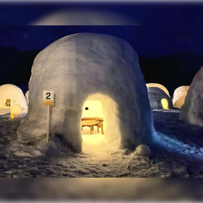 Tokyo: Nagano Private Tour with Igloo Village & snow Monkeys - The Value of a Private, Curated Experience