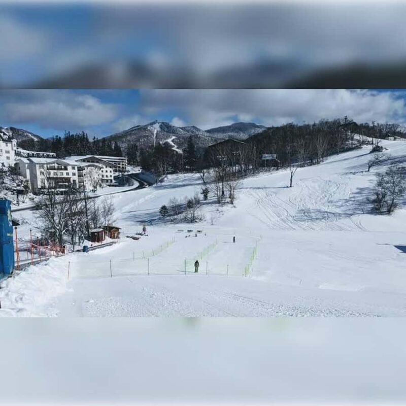 Tokyo: Nagano Private Tour with Igloo Village & snow Monkeys - Who Should Consider This Tour?