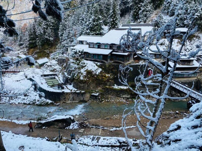 Tokyo/Nagano: private Tour with Snow Monkey Park & Temples - Who Is This Tour Best For?