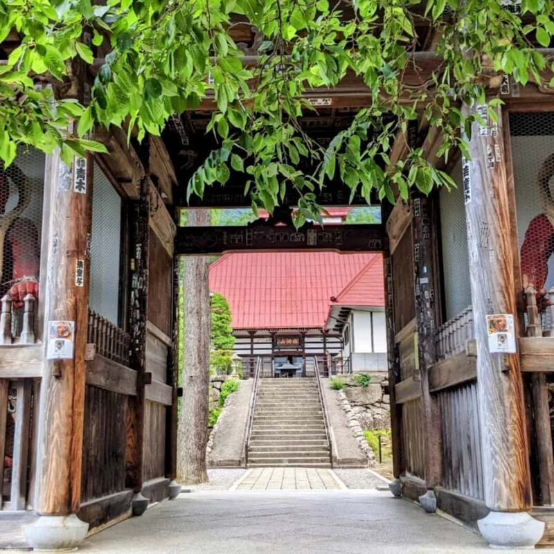 Tokyo / Nagano Snow Monkey, Obuse, Customized Private Tour - Final Thoughts: Who Will Love This Tour?