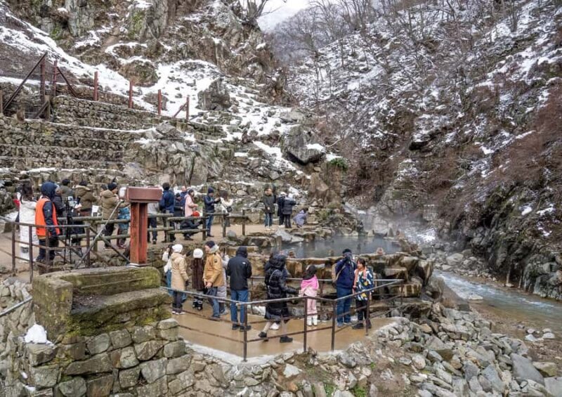 Tokyo: Nagano Snow Monkeys and Zenko-ji Temple Day Trip - Who Will Love This Tour?