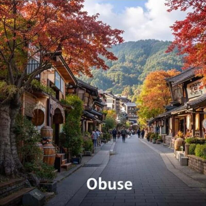 Tokyo/Nagano: Snow Monkeys Private Tour Full Customizable - Key Points