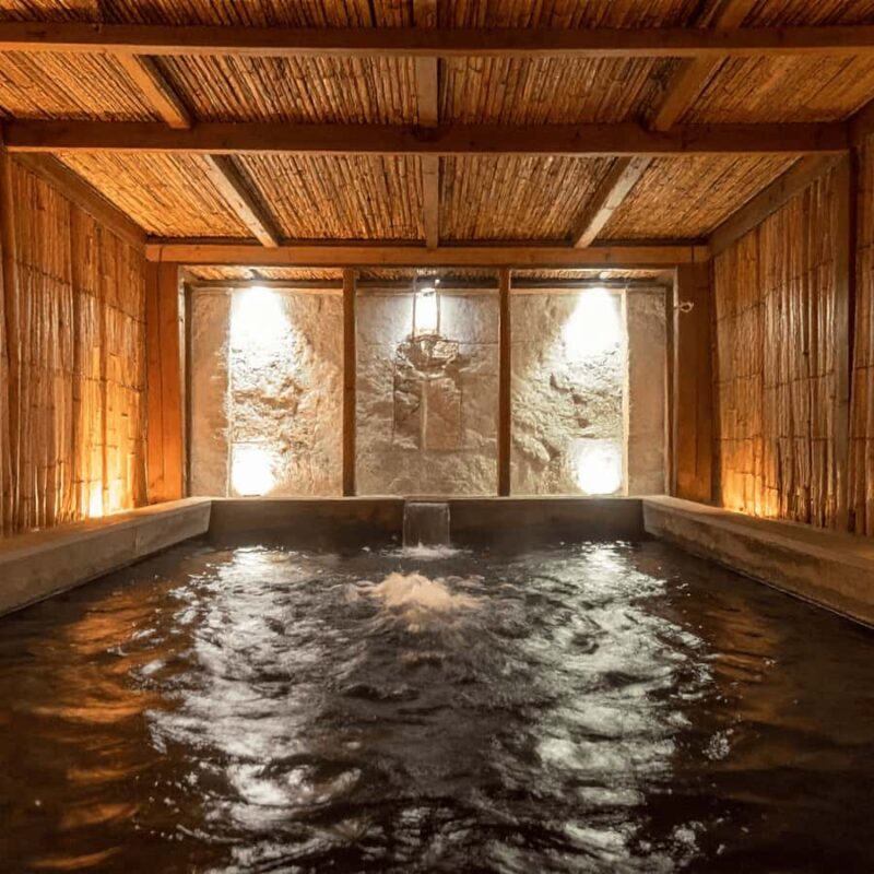 Tokyo / Nagano: Snow Monkeys Private Tour Hotel Pick & Drop - Who Would Love This Tour?