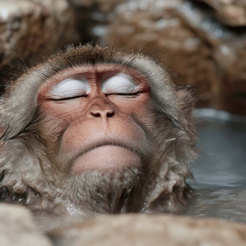 Tokyo & Nagano: Zenkoji Temple & Snow Moneky Private Tour - Key Points