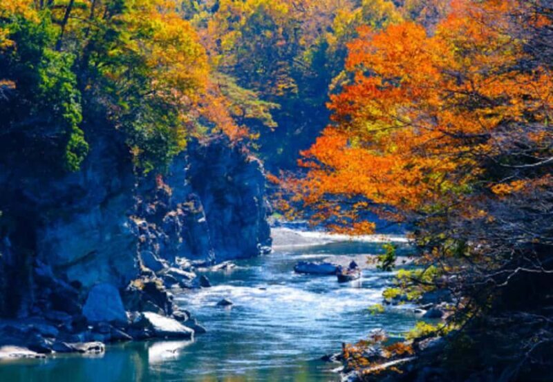 Tokyo: Nagatoro, Mitsumine Shrine & Waterfalls One-Day Tour - In-Depth: Why This Tour Is Worth Considering