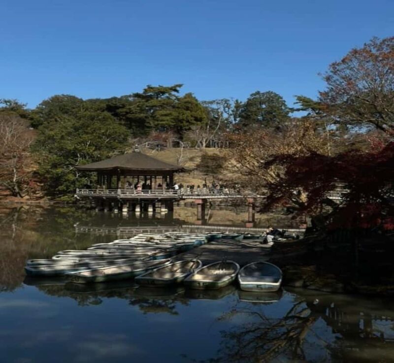 Tokyo: Nara Private Day Tour with English-Speaking Guide - Practical Details & Tips