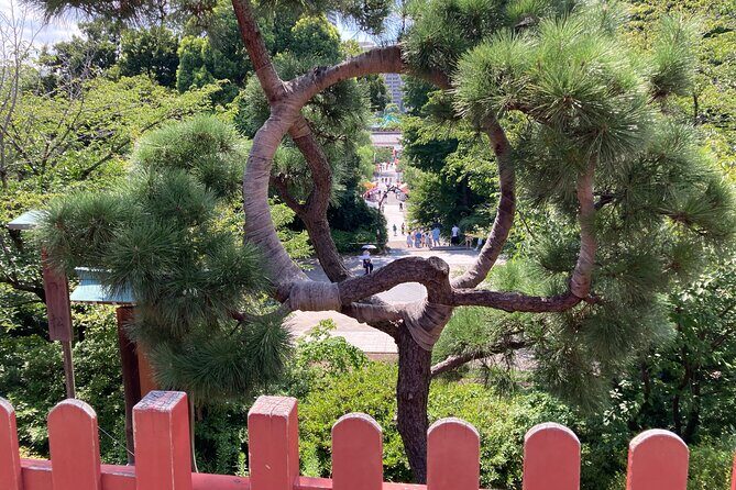 Tokyo National Museum and Ueno Ukiyo-e History Private Tour - The Authenticity and Experience