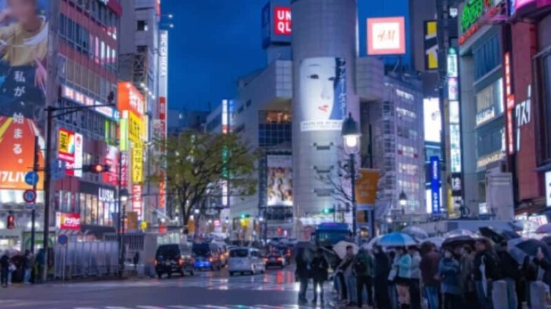 Tokyo Nature Walk: From City Parks to Neon Streets - Final Thoughts: Who Is This Tour Best For?