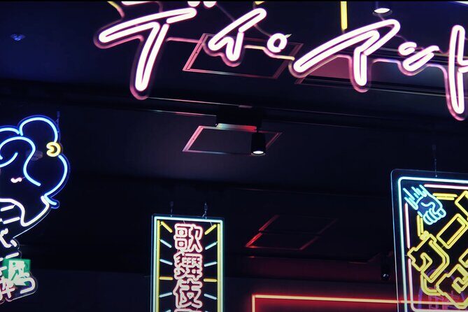 Tokyo: neon lights Shinjuku and Shibuya - Who Is This Tour For?