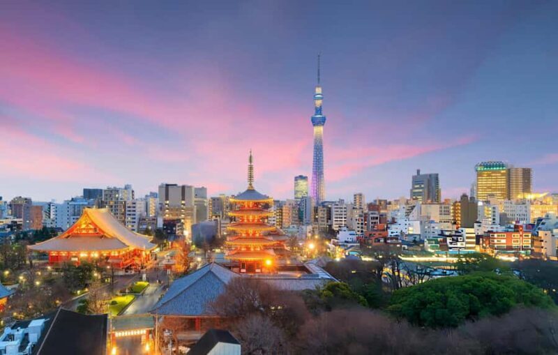 Tokyo Neon Nights: Guided Nightlife Walking Experience - An In-Depth Look at the Tour