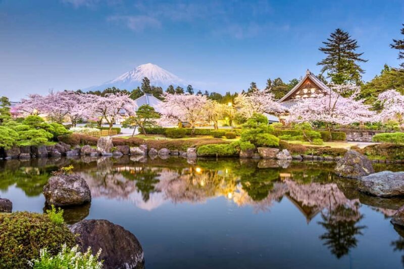 Tokyo: New Views of Mt. Fuji Cherry Blossoms & Tea Picking - Key Points