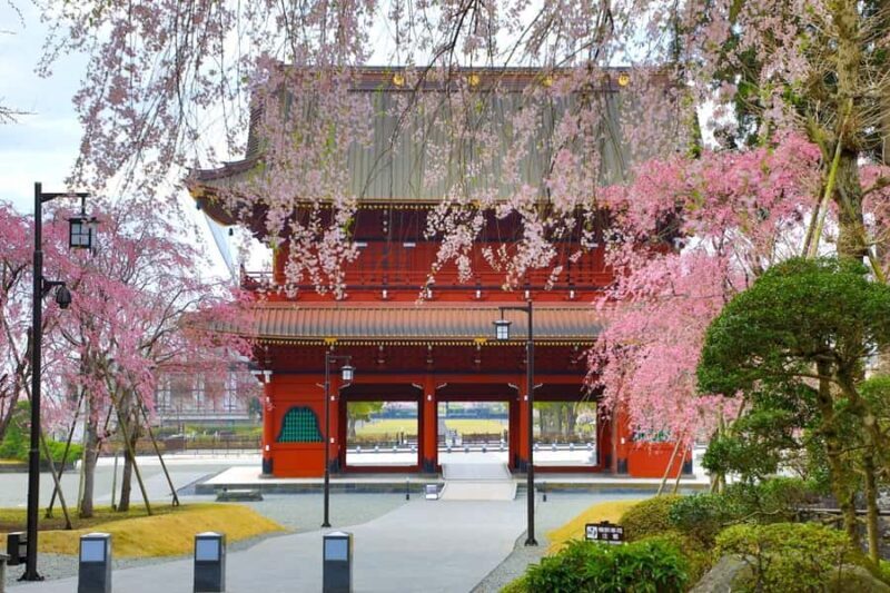 Tokyo: New Views of Mt. Fuji Cherry Blossoms & Tea Picking - Who Will Love This Tour?