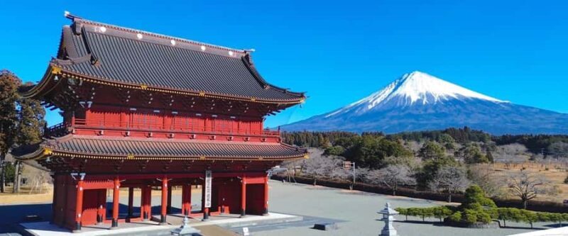 Tokyo: New Views of Mt. Fuji Cherry Blossoms & Tea Picking - FAQ