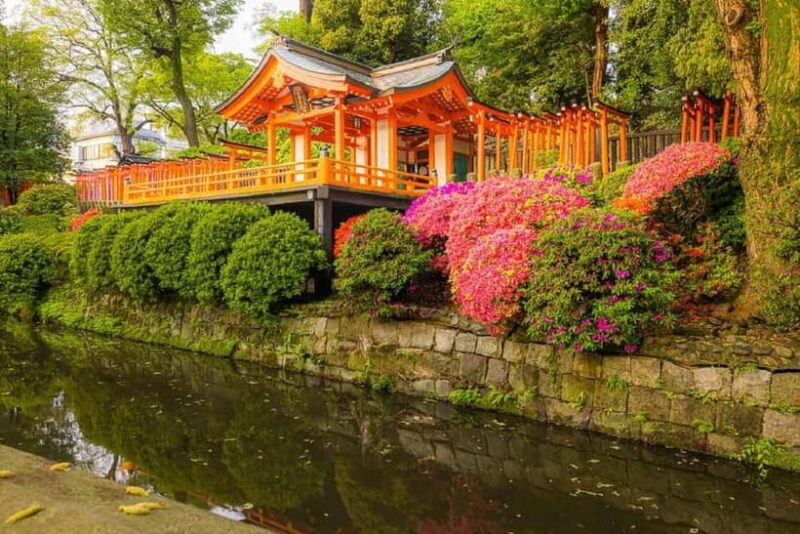 Tokyo: Nezu Shrine Guided Tour with Azalea Festival - Key Points