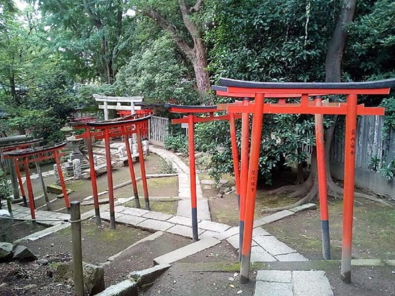 Tokyo: Nezu Shrine Guided Tour with Azalea Festival - The Azalea Gardens and the Festival