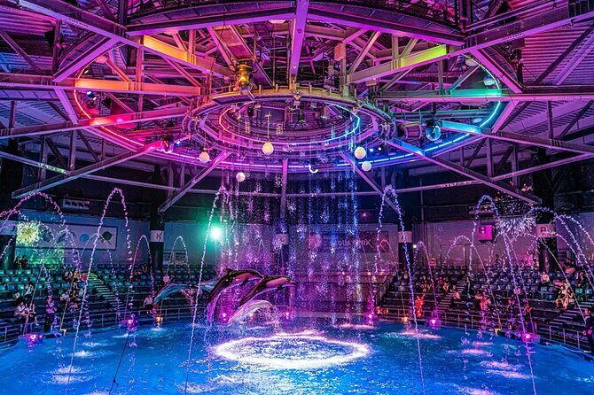 Tokyo Night E-Bike Tour with Tokyo Tower and Dolphin Show - An In-Depth Look at the Tokyo Night E-Bike Tour