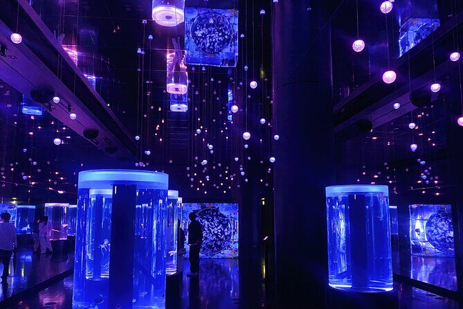 Tokyo Night E-Bike Tour with Tokyo Tower and Dolphin Show - FAQ Section