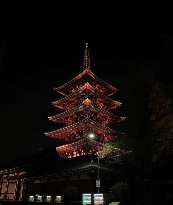 Tokyo Night Private Tour With English Speaking Driver - An In-Depth Look at the Tour Experience