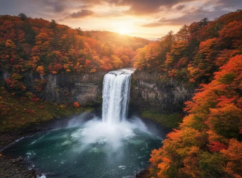 Tokyo: Nikko and Snow Monkey Park 2-Day Private Lexus Tour - Day Two: Meeting the Snow Monkeys