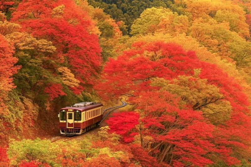 Tokyo: Nikko Autumn Irohazaka, Kegon Falls & Watarase Rail - Key Points