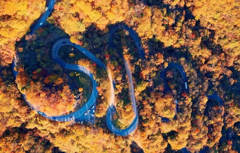 Tokyo: Nikko Autumn Irohazaka, Kegon Falls & Watarase Rail - Who Is This Tour For?