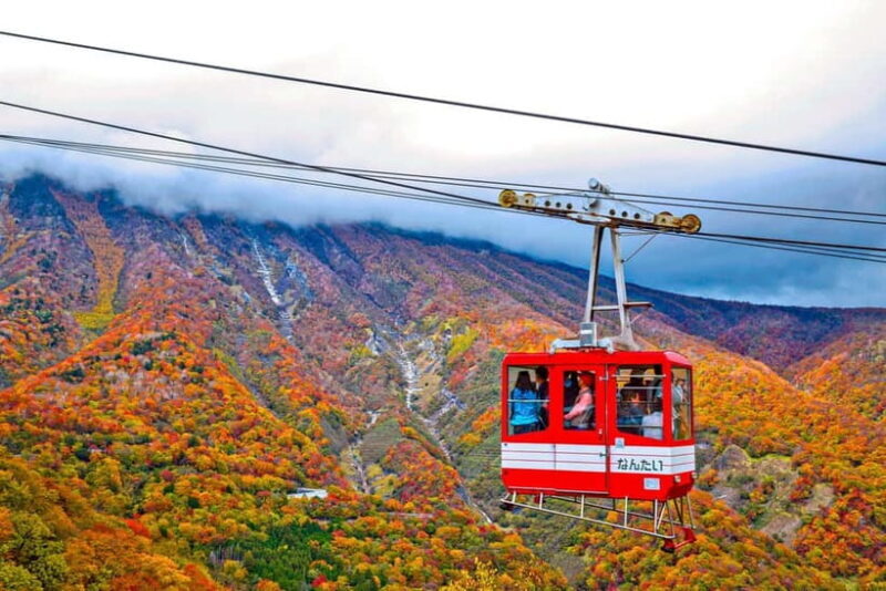 Tokyo: Nikko Autumn Irohazaka, Kegon Falls & Watarase Rail - The Sum Up