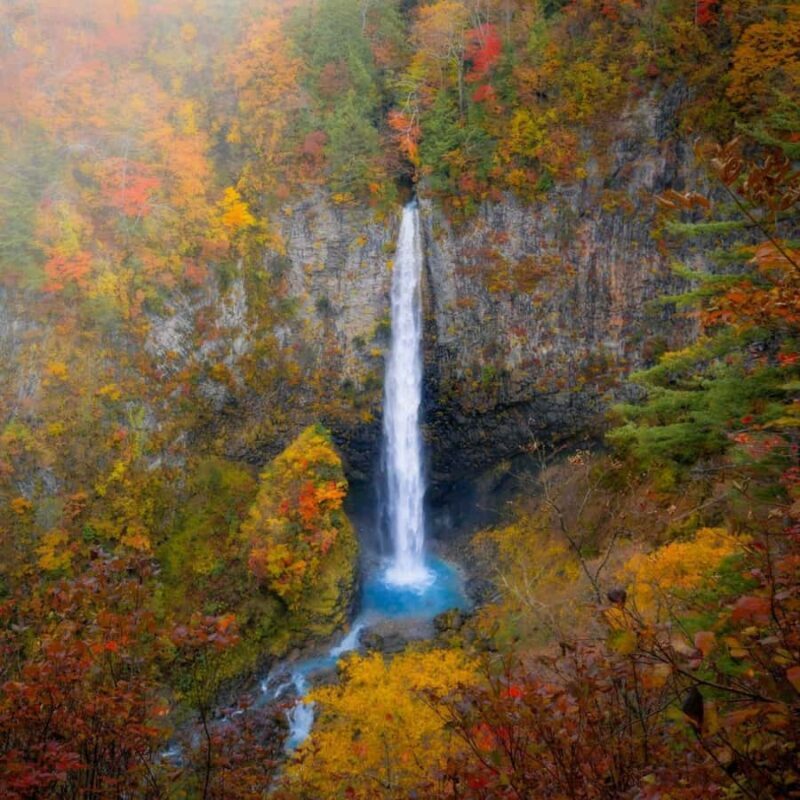 Tokyo: Nikko Beautiful Full Day Personal And Private Tour - An In-Depth Look at the Nikko Experience