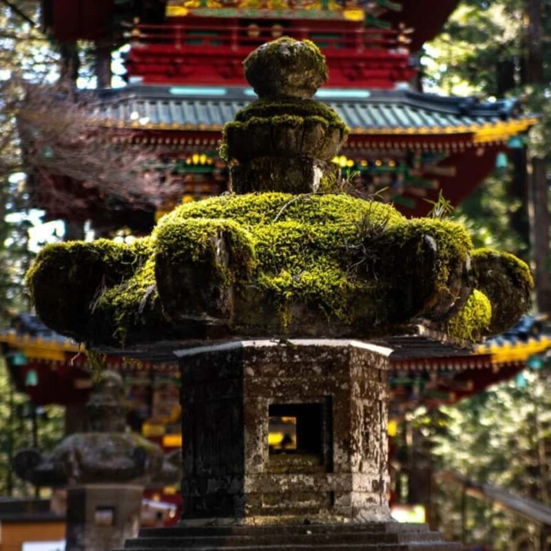 Tokyo: Nikko Beautiful Full Day Personal And Private Tour - Final Thoughts