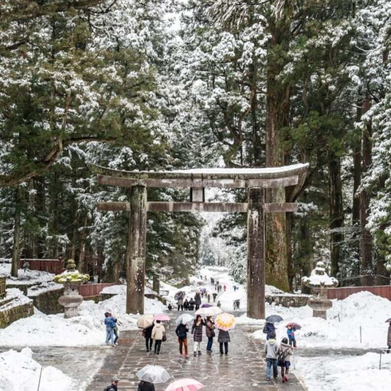 Tokyo: Nikko Chzen-ji Temple Private Full Customizable Tour - Who Should Consider This Tour?