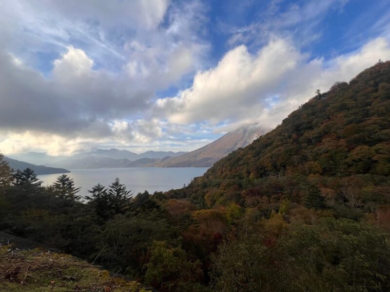 Tokyo: Nikko Day Tour with Private Vehicle and Guide - The Journey Begins: Departure and Transportation