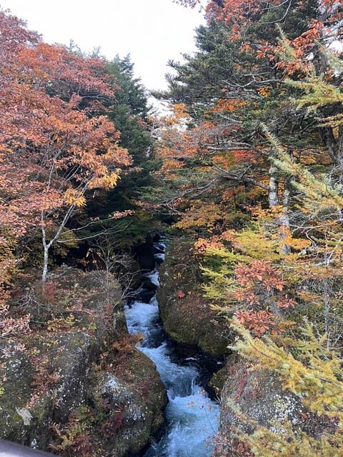 Tokyo: Nikko Day Tour with Private Vehicle and Guide - Nature and Waterfalls: The Heart of Nikko’s Scenic Appeal