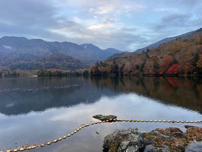 Tokyo: Nikko Day Tour with Private Vehicle and Guide - What’s Included and What to Consider