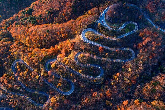 Tokyo Nikko Day Trip: Toshogu Shrine, Lake Chuzenji & Kegon Falls - Who Is This Tour Best For?