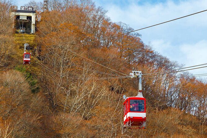 Tokyo Nikko Day Trip: Toshogu Shrine, Lake Chuzenji & Kegon Falls - FAQ