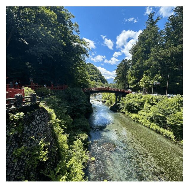 Tokyo: Nikko Kegon Falls Lake Chuzenji Toshogu Temple & More - Discovering Nikko: An In-Depth Review