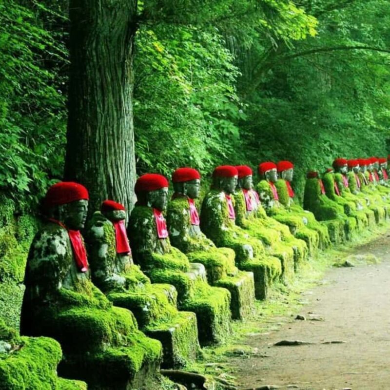 Tokyo: Nikko National Park Private Tour Customised Itinerary - Ascending Akechidaira Ropeway for Panoramic Views