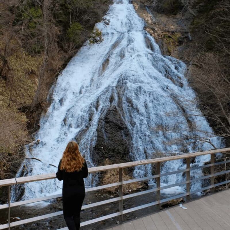 Tokyo: Nikko National Park Private Tour Customised Itinerary - Witnessing Kegon Falls in Full Force