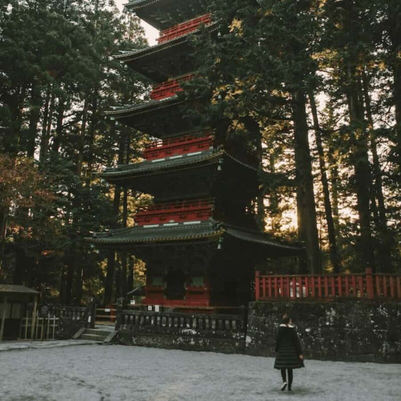 Tokyo: Nikko National Park Private Tour Customised Itinerary - Cultural Gems: Nikko Shrine and Rinnoji Temple
