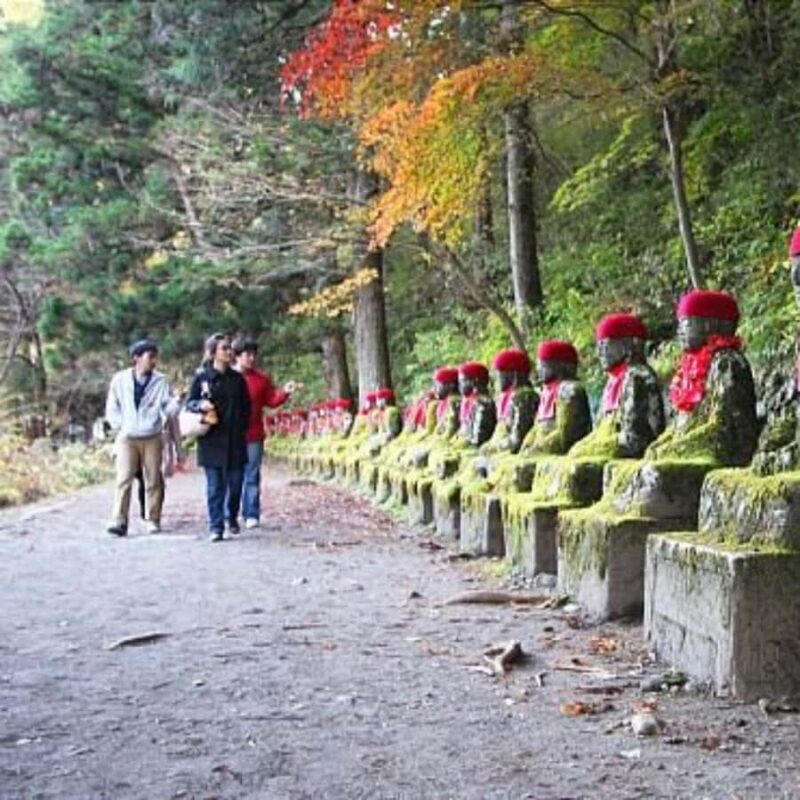 Tokyo: Nikko National Park Private Tour Customised Itinerary - A Historic Retreat: Nikko Tamozawa Imperial Villa