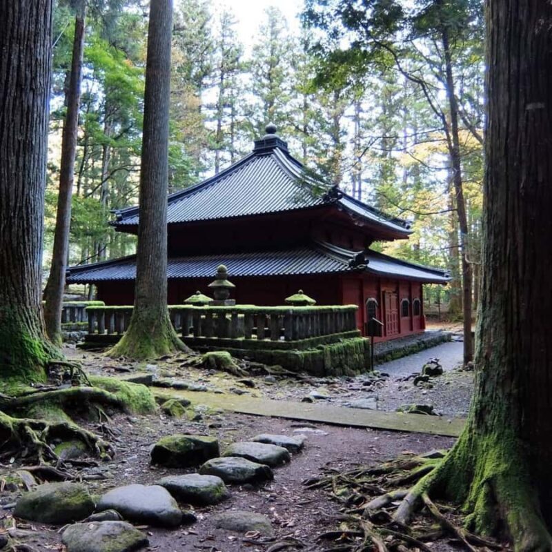 Tokyo: Nikko National Park Private Tour Customised Itinerary - Practicalities and Value