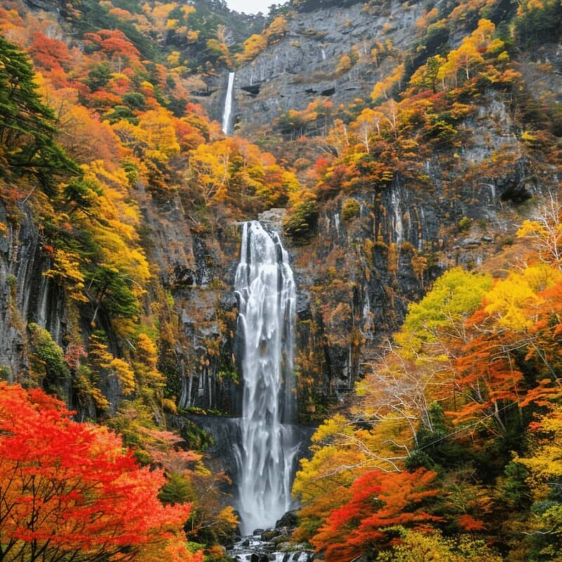 Tokyo: Nikko National Park Private Tour Hotel Pickup & Drop - Transportation, Timing, and Value