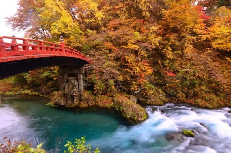 Tokyo: Nikko One Day Private & Customizable Tour - Why This Tour Offers Value
