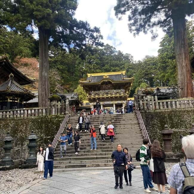 Tokyo: Nikko Private Day Tour Fully Customizeable Low Price - Key Points