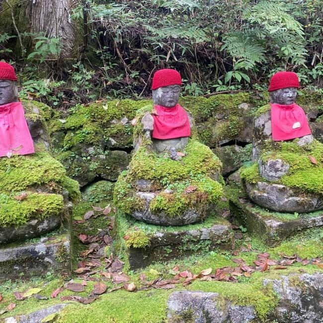 Tokyo: Nikko Private Day Tour Fully Customizeable Low Price - What Travelers Love: Authentic Experiences and Comfort