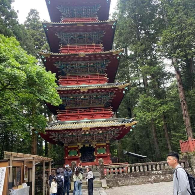 Tokyo: Nikko Private Day Tour Fully Customizeable Low Price - Potential Drawbacks and Considerations
