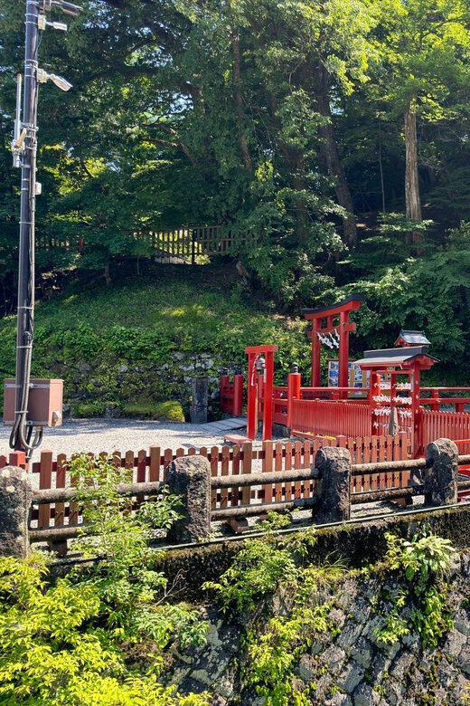 Tokyo: Nikko Private Day Tour - Authentic Experiences and Hidden Gems
