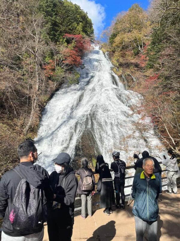 Tokyo: Nikko Private Day Tour with Pickup - Why Choose This Tour?