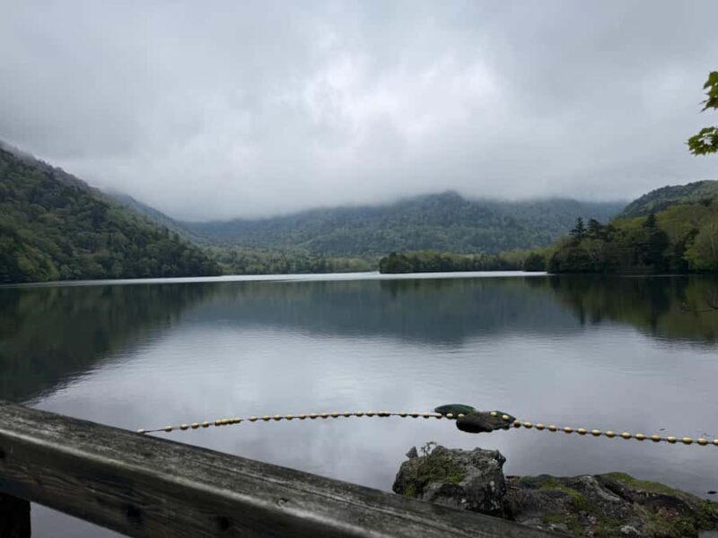 Tokyo: Nikko Private Day Tour with Pickup - The Sum Up