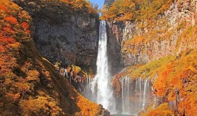 Tokyo: Nikko Private Day Trip with English Guide - Comfortable Transportation and Long Drive