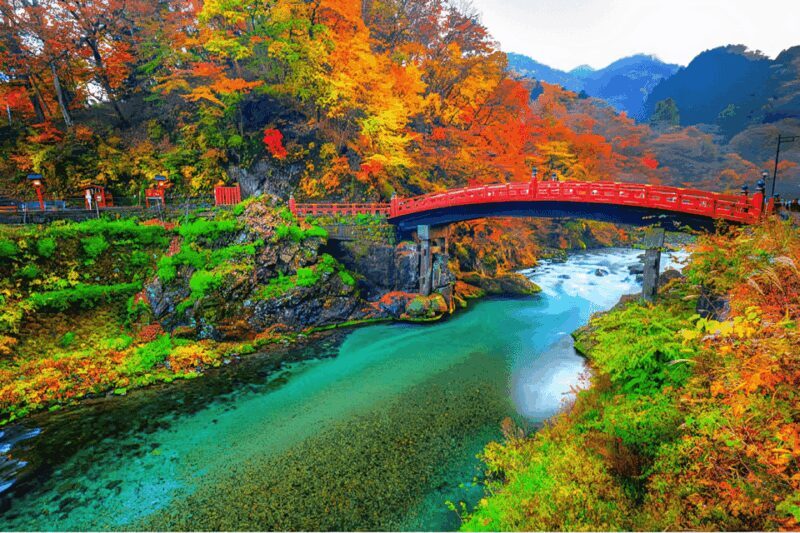 Tokyo: Nikko Private Sightseeing Day Trip with Driver - The Itinerary: What You Can Expect